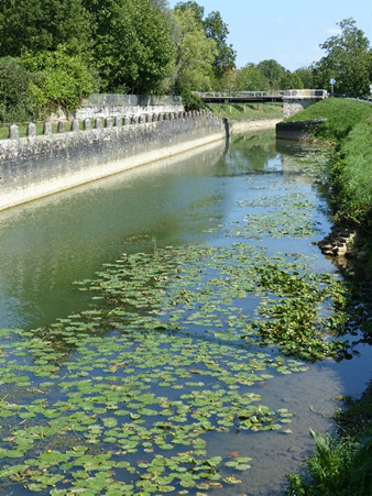 canal orchamps